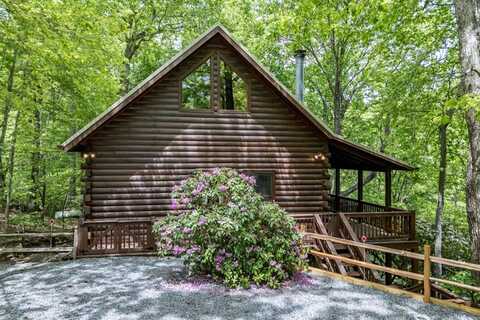 144 Little Bushy Head Road, Cherry Log, GA 30522