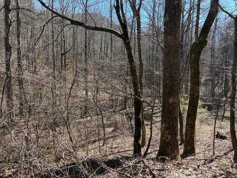 Lots Rich Mountain Road, Ellijay, GA 30540