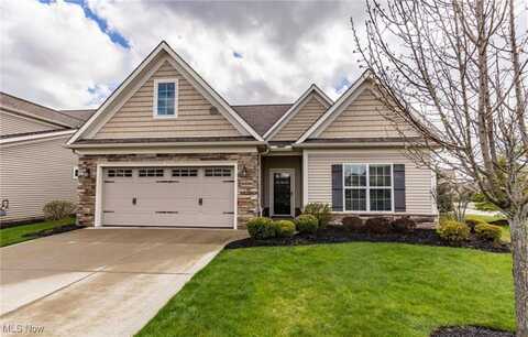 8396 Antonina Court, Macedonia, OH 44056