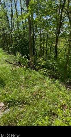 Lisbon Street, East Liverpool, OH 43920