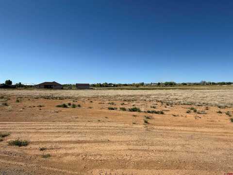 Lot 4 Nighthorse Lane, Montrose, CO 81403