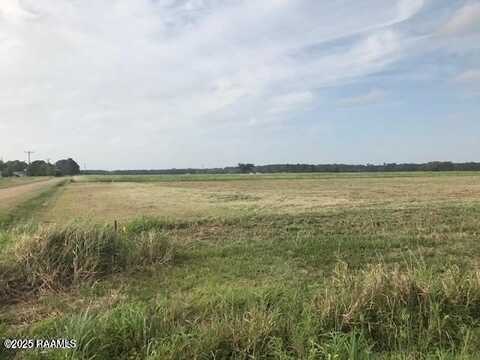Vie Terre Beau Road, Basile, LA 70515