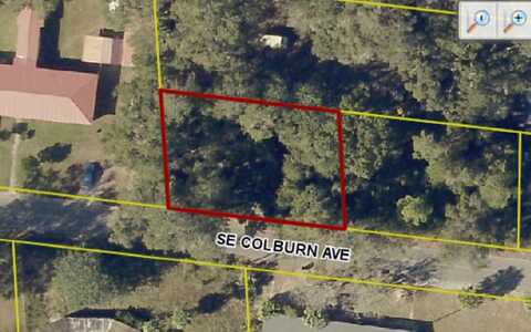 TBD SE COLBURN AVE, Lake City, FL 32025