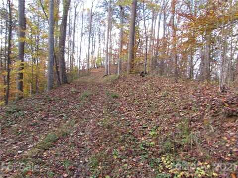 00 Red Wolf Run None, Mars Hill, NC 28754
