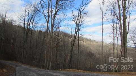 Falling Water Drive unit: 15, Burnsville, NC 28714