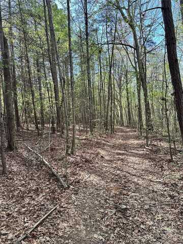 0000 Bud Arndt Road, Maiden, NC 28650