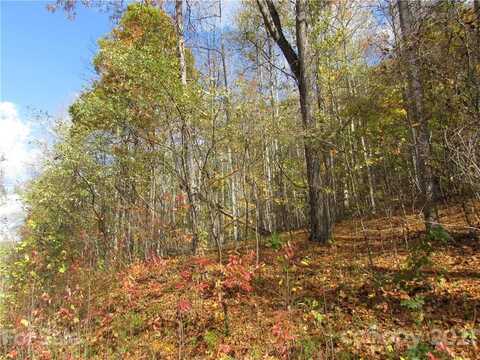 E- 13 Red Wolf Run, Mars Hill, NC 28754