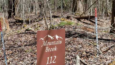 112 Rainbow Trout Road, Burnsville, NC 28714