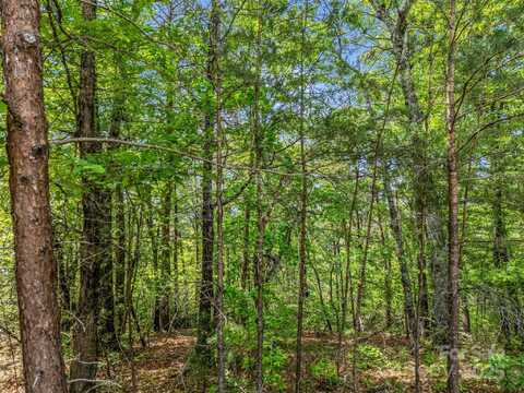 4 Woodward Drive, Mill Spring, NC 28756