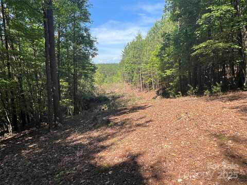 0 South Mountain Drive, Nebo, NC 28761