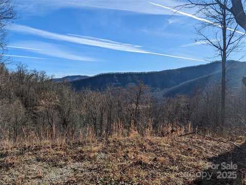 351 Kestrel Lane, Black Mountain, NC 28711