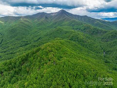 59 Pisgah Mountain Trail, Candler, NC 28715