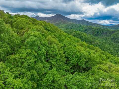 59 Pisgah Mountain Trail, Candler, NC 28715