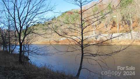 2079 Roses Branch Road, Green Mountain, NC 28740