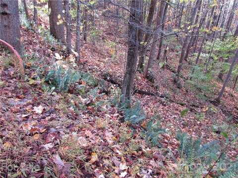 E- 15 Red Wolf Run None, Mars Hill, NC 28754