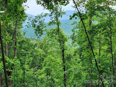 000 Sharp Top Road, Burnsville, NC 28714