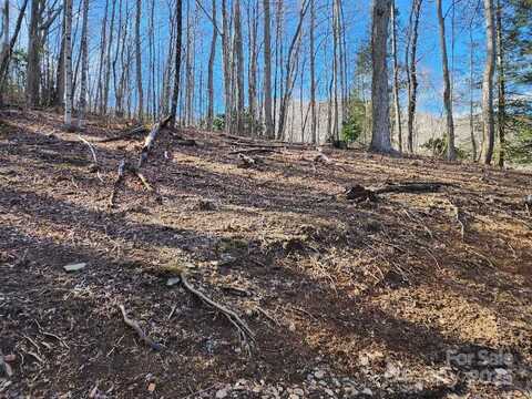 00 Shadow Moss Drive, Burnsville, NC 28714