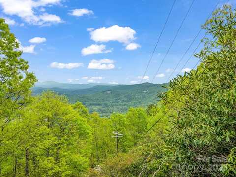 000 Pinnacle Mountain Road, Hendersonville, NC 28790