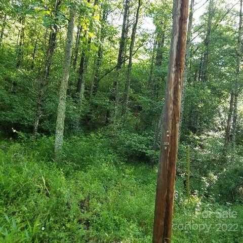 Tbd Cabin Hill Road, Green Mountain, NC 28740