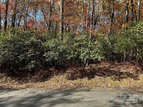 U02 L340 Salola Lane unit: 340/02, Brevard, NC 28712