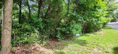 00000 Barebridge Drive, Burnsville, NC 28714
