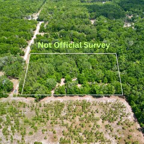 247th Ave, Old Town, FL 32680