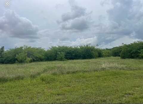 Lot 444 Indigo Bush Court, Graford, TX 76449
