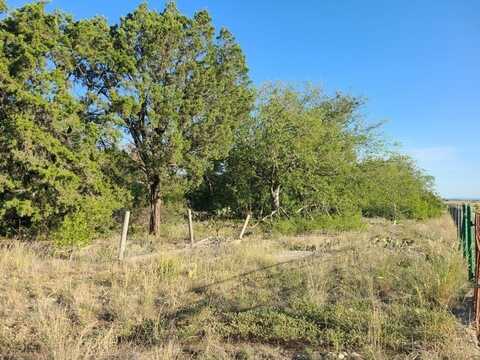 Tbd CR 406, Hamilton, TX 76531