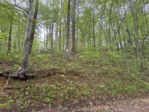 26-30 Fontana Forest, Robbinsville (Graham), NC 28771