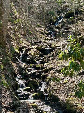 Wild Turkey Drive, Whittier, NC 28789
