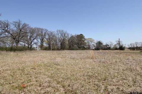 22419 County Road 2166, Troup, TX 75789