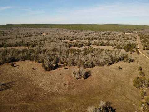 Lake OZZIE COBB 102-B, Antlers, OK 74523