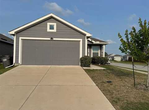 5651 Bristle Leaf Drive, Princeton, TX 75407