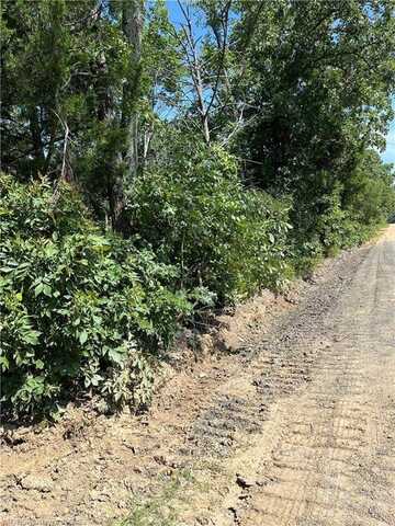Tract C TBD N4550 Road, Whitesboro, OK 74577