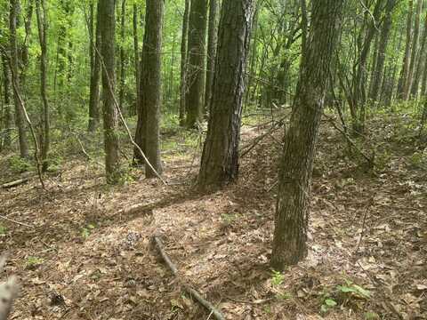 00 Co Rd 50, Tuskegee, AL 36083