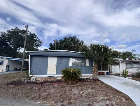 13 Rose Lane, Mount Dora, FL 32757