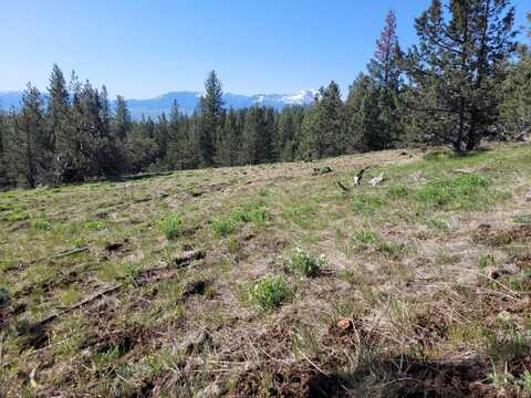 N/A NFD Road 746, Prairie City, OR 97869