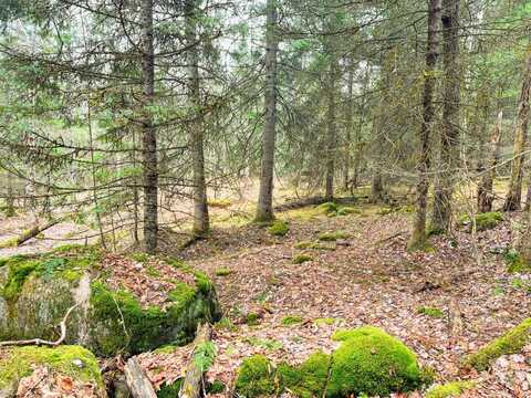 00 Palmer Rd, Saint Regis Falls, NY 12980