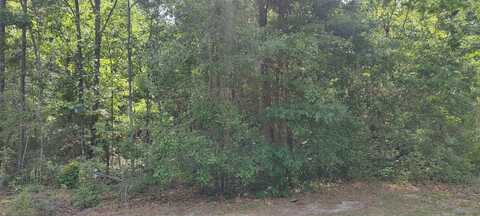 0 CHARLIE ST, Opp, AL 36467