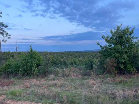 TBD Wild Horse Trail, Broken Bow, OK 74728