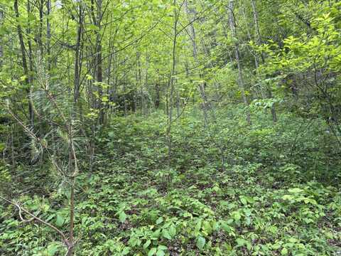 00 Arrowhead Lane, Whittier, NC 28789