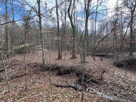 Carter Smith Rd, Brookneal, VA 24528