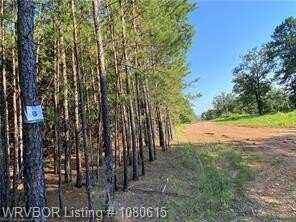 TBD Lot 8 W Hartford RD, Hartford, AR 72938