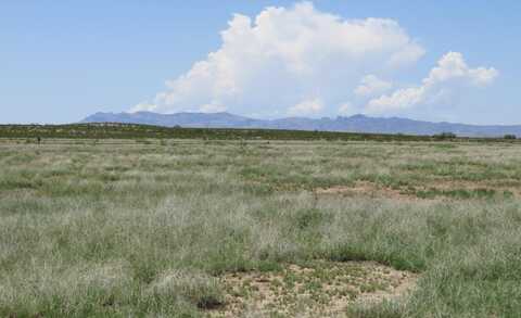 On Hwy 70, Virden, NM 88045