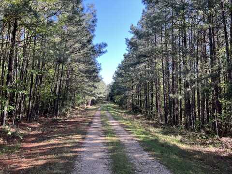 0 Judydahl rd, Woodville, MS 39669