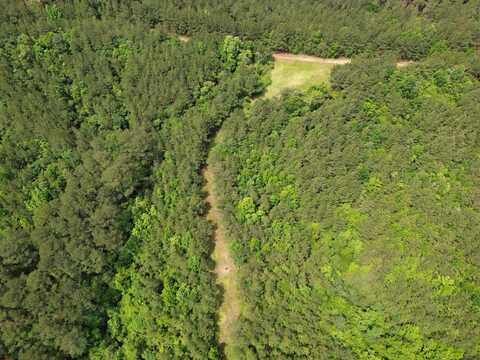0 Judydahl rd, Woodville, MS 39669