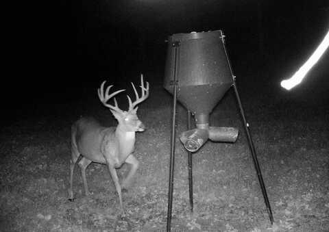 0 KY Hwy 1952, Columbia, KY 42728