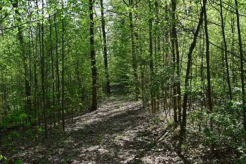5975 Henderson Creek Rd, Norman, IN 47264