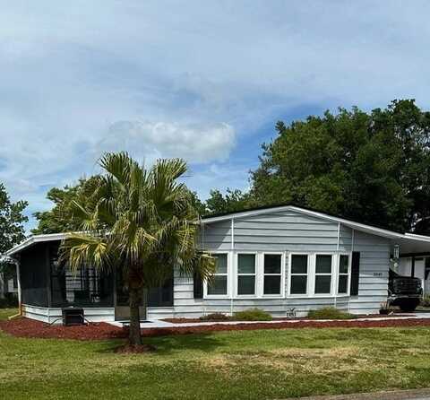 3049 Tree Frog Lane, Deland, FL 32724