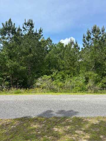 0 Juniper Lake Road, Brewton, AL 36426